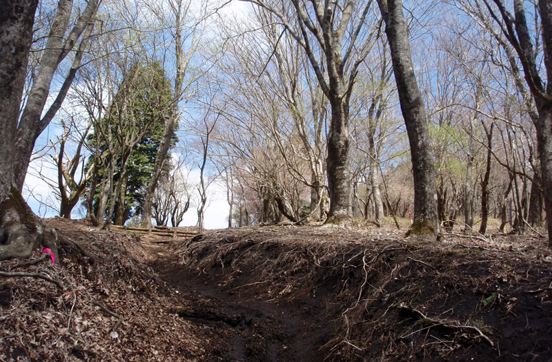 ����z����Q�T��