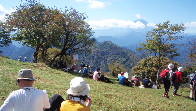 �犄�R���̉E���̍L�ꂆ���x�m�R�W�]