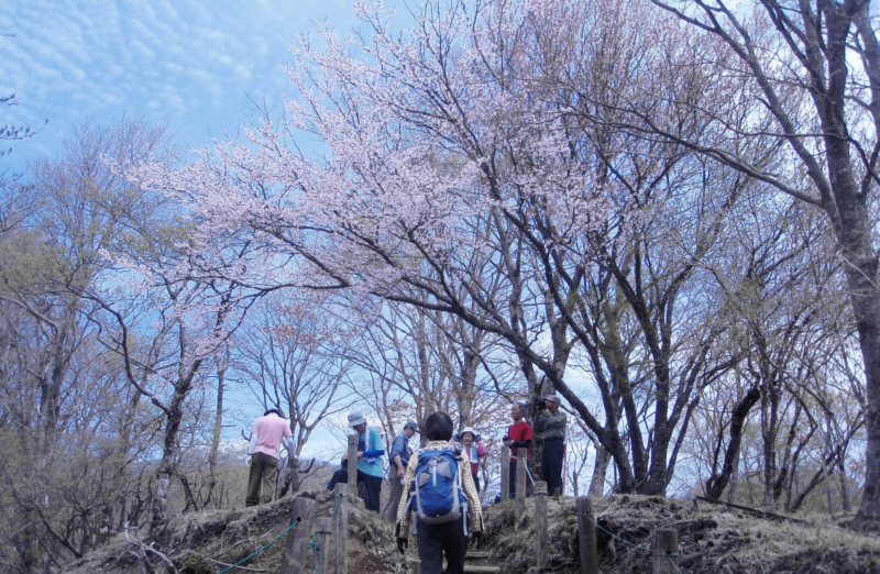 ����z����60��