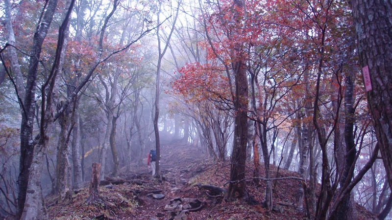 ����z����1�T��