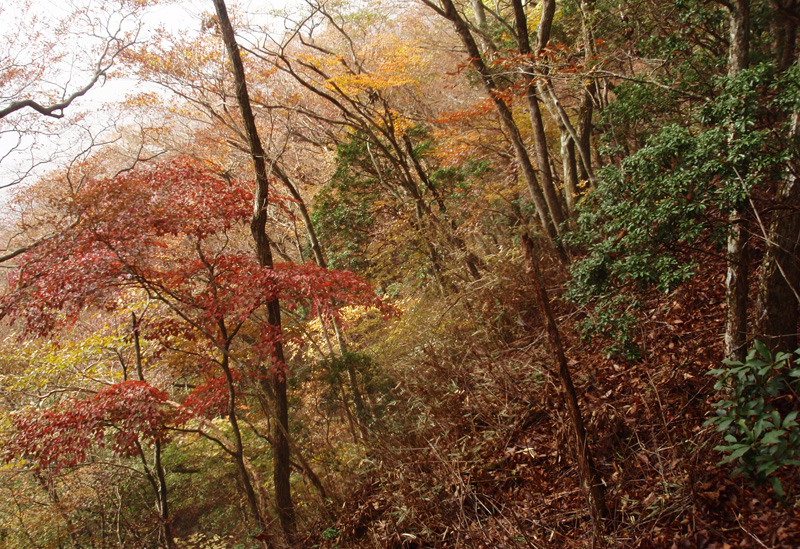 ���۔������򂩂�34���̂Ƃ���