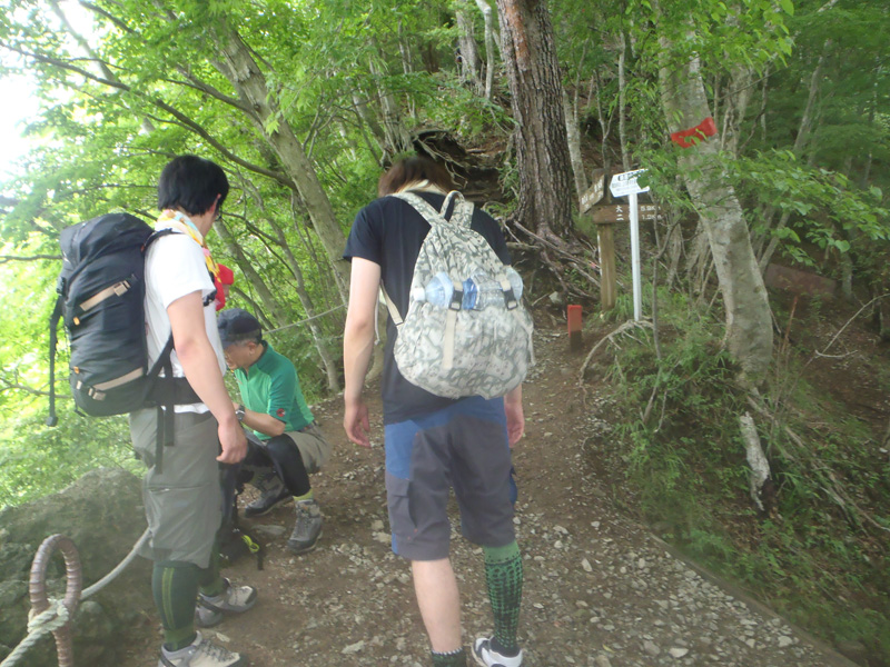 �R�q���Ɋ��܂�ďo������TV�̎B�e��