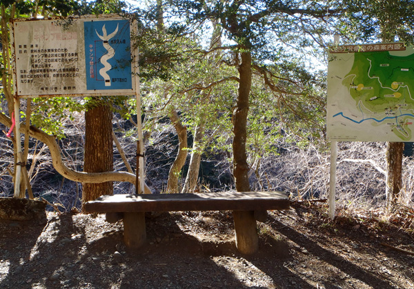 �\�O�򌧖��̐X�ē��}