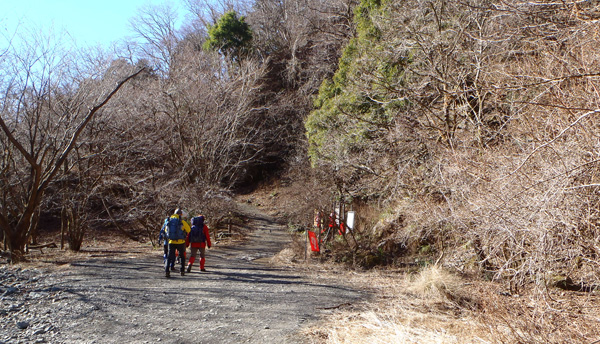 �犄�R�o�R�B�񖓏o��