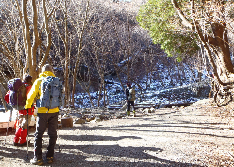 �񖓁`����z�@�������炪�o�R��