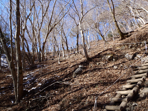 ���̓o��̐悪����z