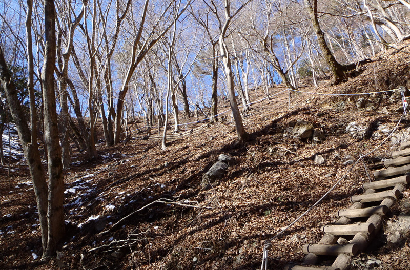 ���̓o��̐悪����z