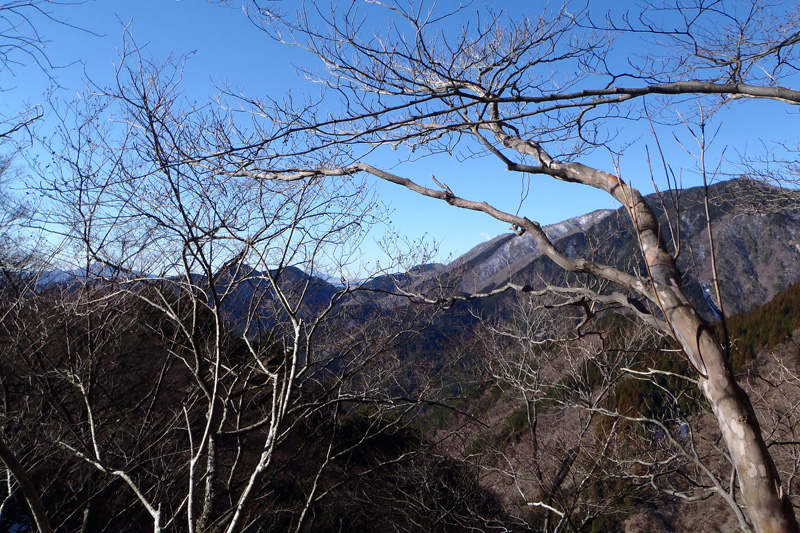 ����z����̎R����