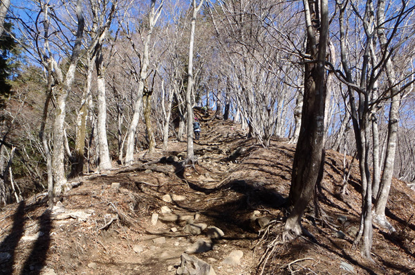 �}�i�ȓo���