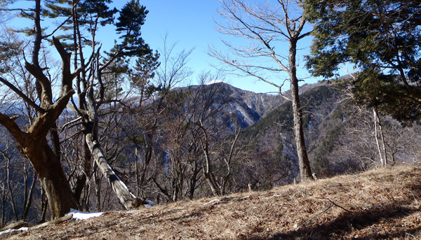 �犄�R�A���؂̊Ԃ���x�m�R