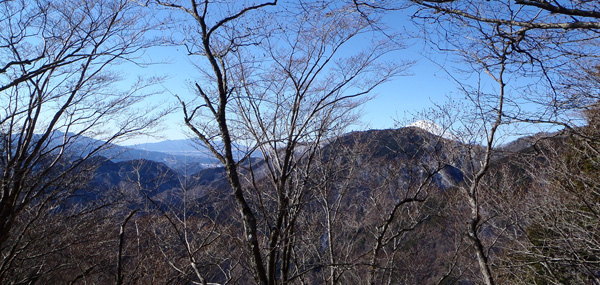 �犄�R����R�B