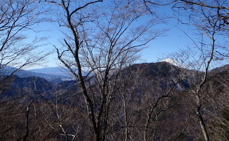 ���؂̊Ԃɕx�m�R�ƈ���R