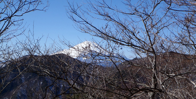 �犄�R�o�R���x�m