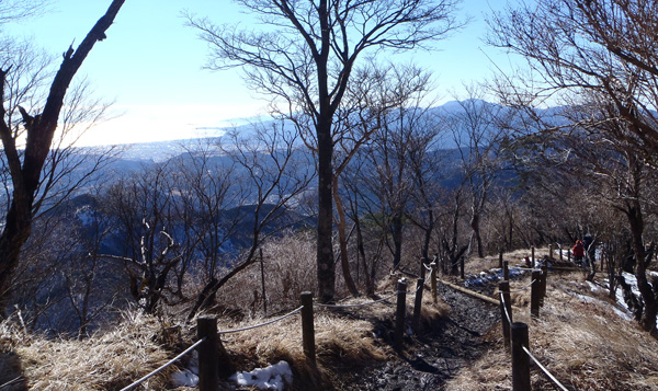 �x�m�R�W�]��͂��������ł�