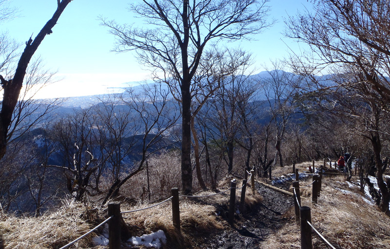 �犄�R�o�R������̑��͘p���͘p