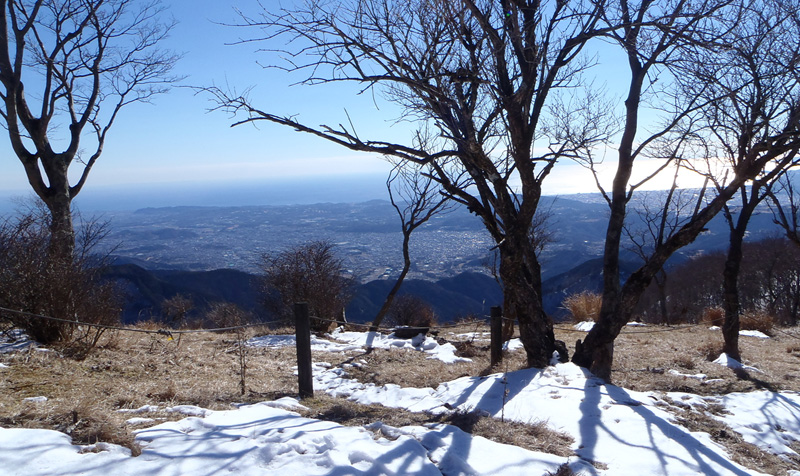 �犄�R�R��