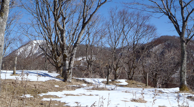 �犄�R�R������̌i�ρB�g���x