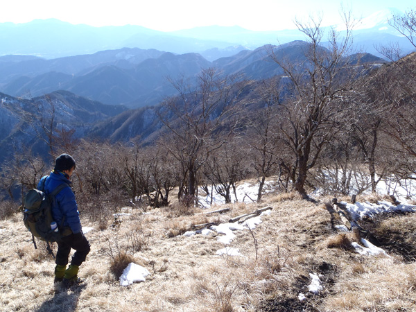 ���۔���������