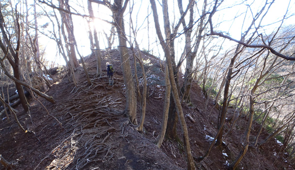 ���۔������򂩂�11��