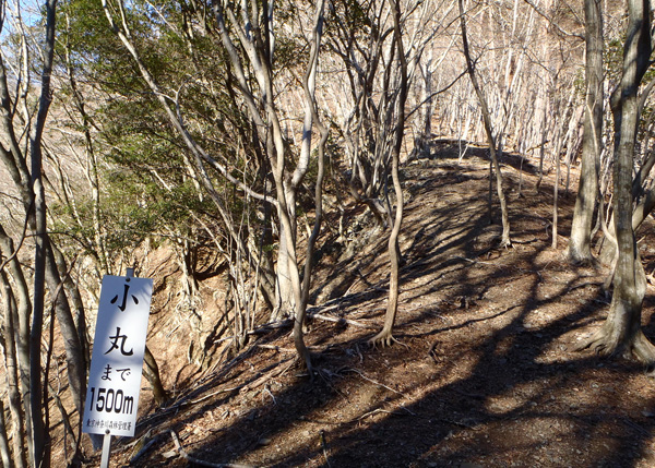 ���۔������򂩂�71��