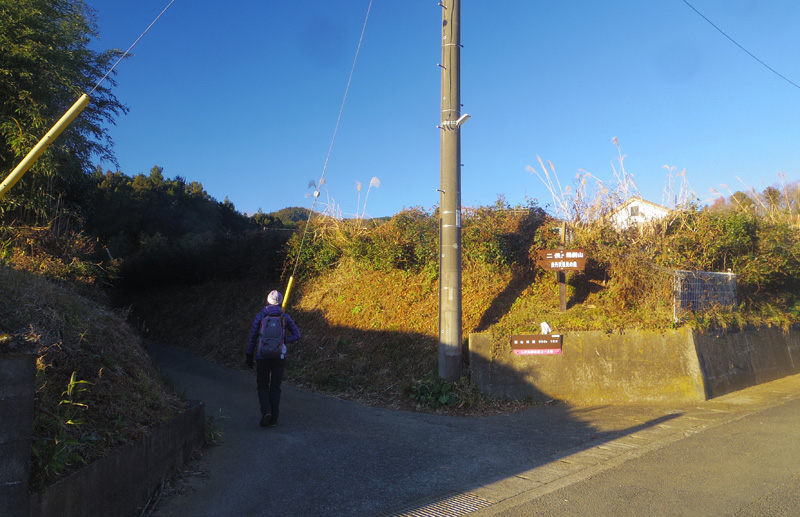 �\���u����ҁE�犄�R�@�\�O�򌧖��̐X�v�����镪��