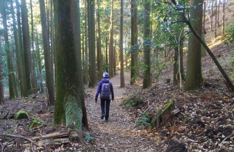 ���؂ň͂܂ꂽ��