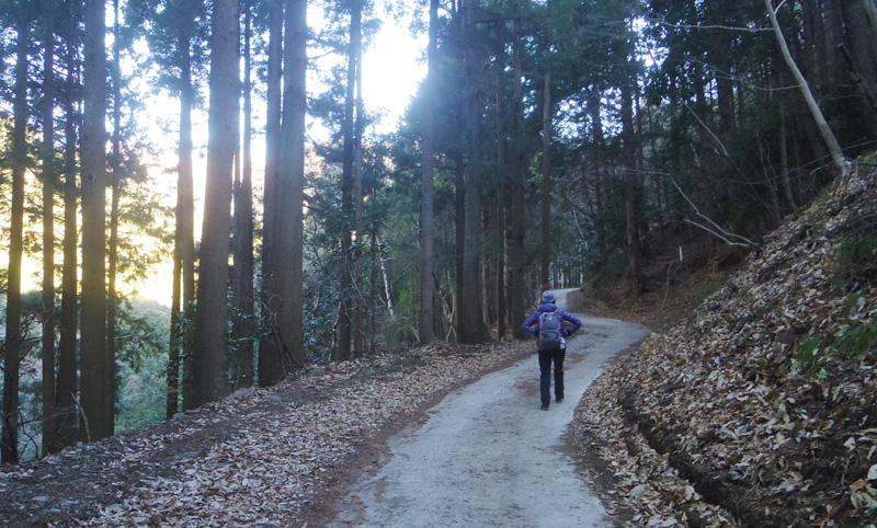 �Ԃ��ʂ��ѓ�