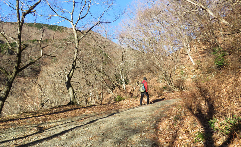 ��҂֍s���ѓ�