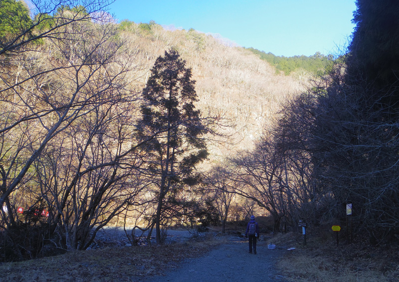 �Ȃ��炩�ȍ⓹