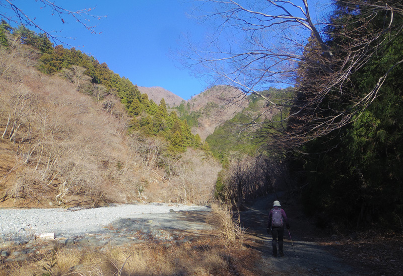 �����̐���̉��̓o�R��