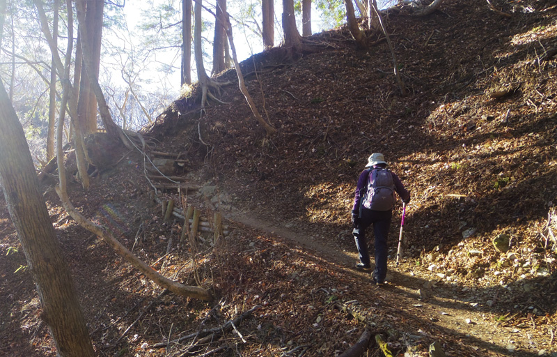 ����z�ƊԈႤ�⓹