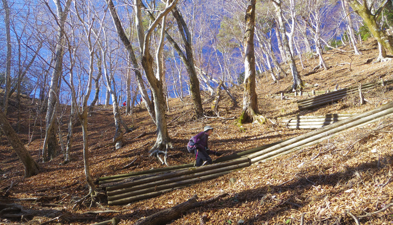 ����z�ւ̃W�O�U�O�̊K�i