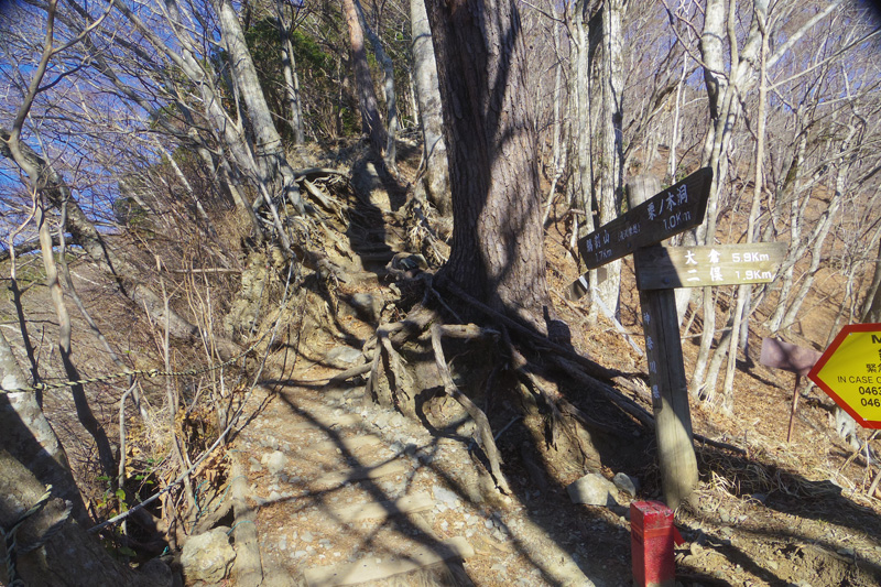 �犄�R�ւ̋}��