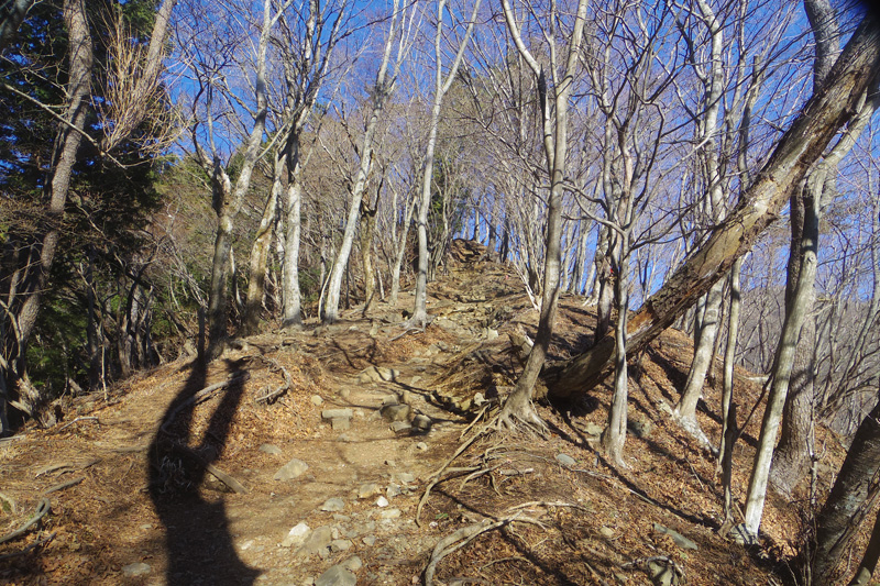 �犄�R�ւ̋}��