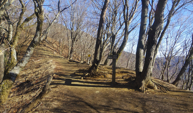 �犄�R�R���܂�.0.8�q�n�_