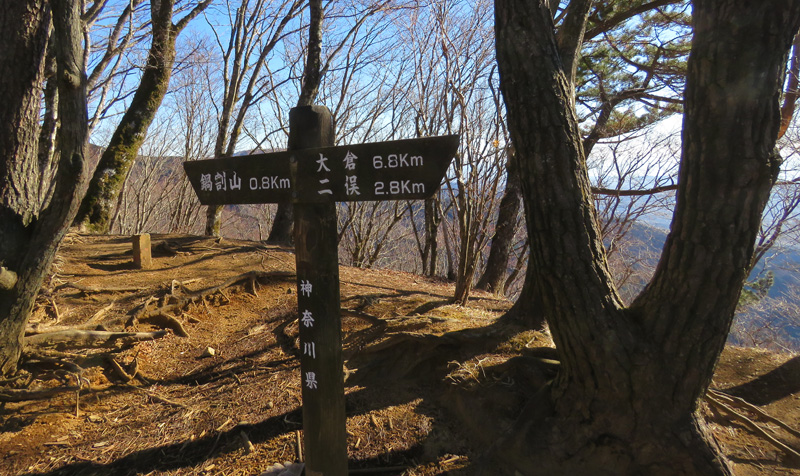 �u�犄�R�@0.8�q�v�̕\����