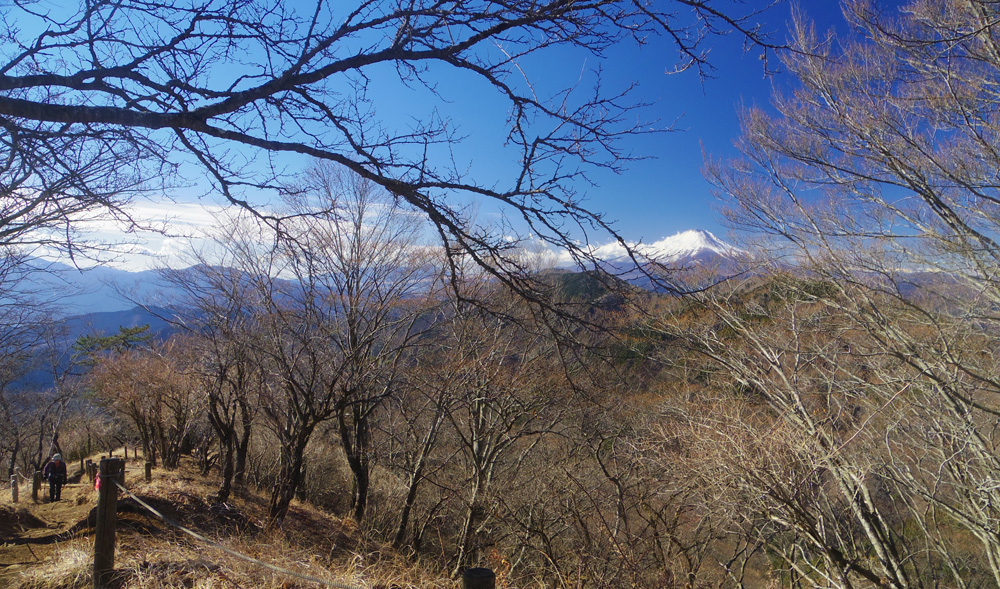 �o���Ă�������U��Ԃ�ƁA�E���ɕx�m�R