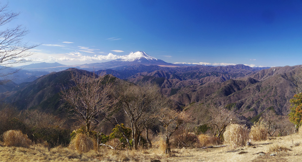 �x�m�R�W�]�L�ꂩ��̕x�m�R