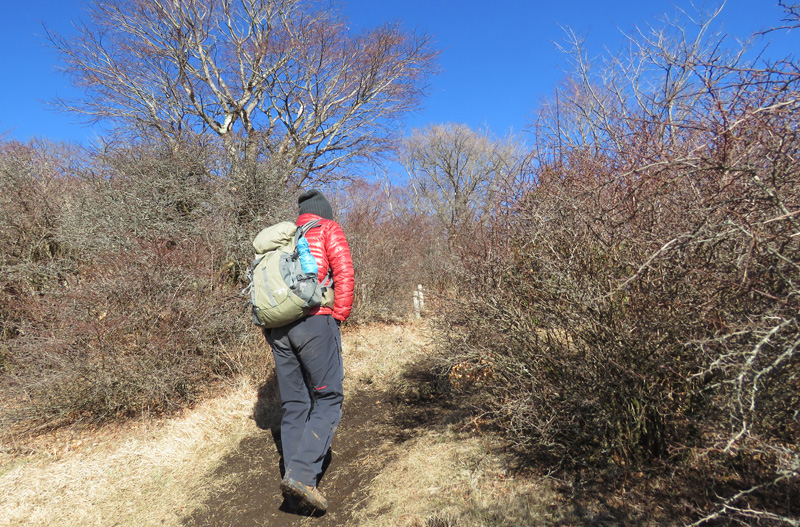 �y�m���W�]�䂩��o�R���ɖ߂�܂�