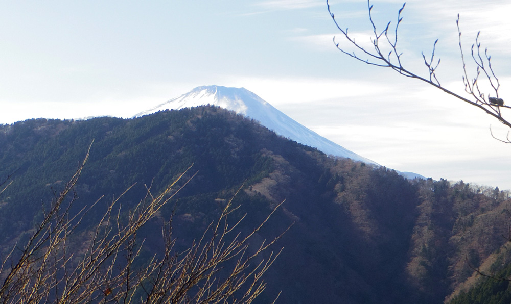 �o�R������̕x�m�R