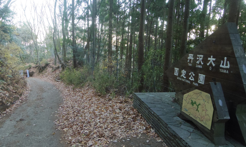 �O���R�̕\����