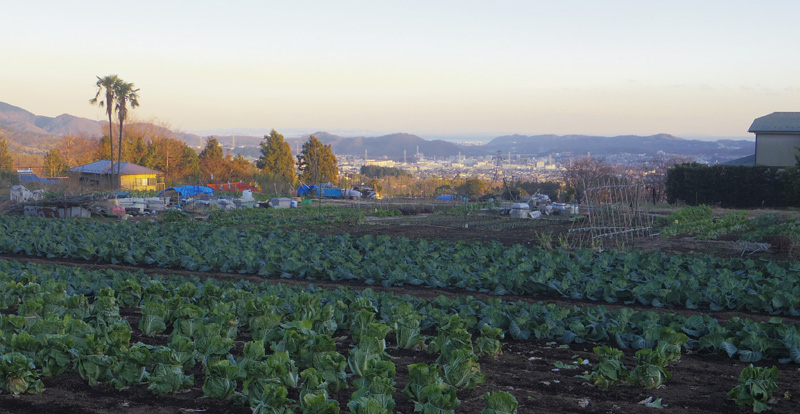 �`��̊X�ƁA���̉��ɑ��͘p