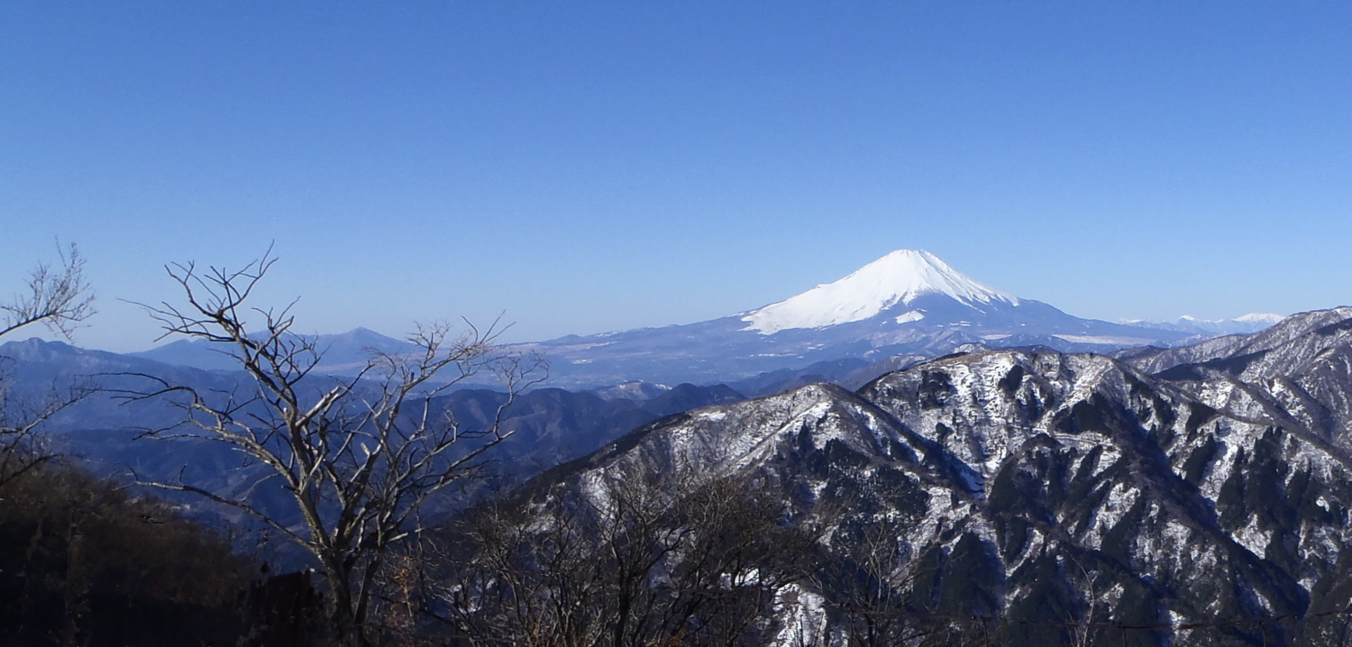 ��R�R���k���̕x�m�R�W�]�ꏊ����̕x�m�R�ƈ���R