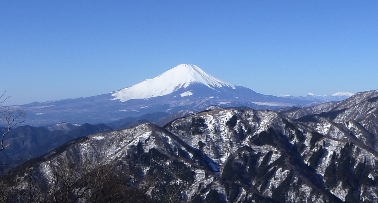 ��R�R���k���̕x�m�R�W�]�ꏊ����̕x�m�R