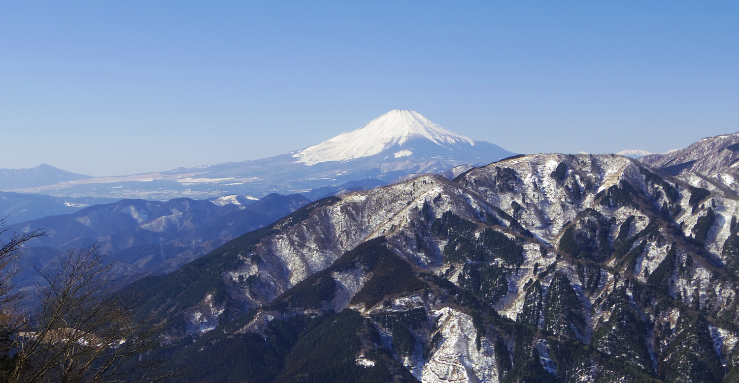 ���r�c�����򉡂̕x�m�R�W�]�n����̕x�m�R