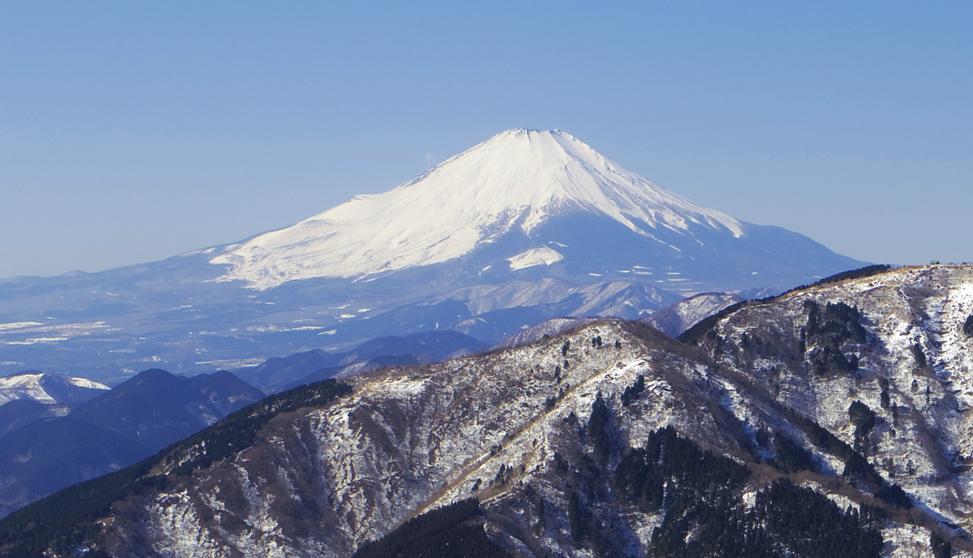 ���r�c�����򉡂̕x�m�R�W�]�n����̕x�m�R�R����