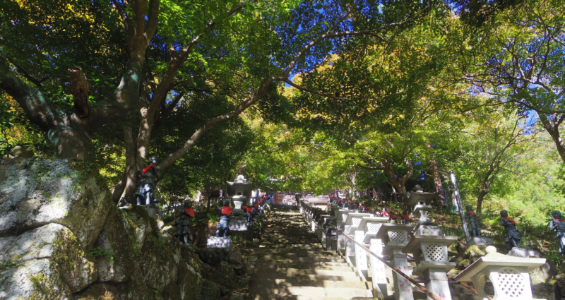 ��R���̊K�i