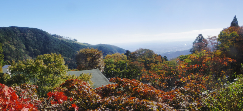 ���v���_�Љ��ЊK�i�ォ�瑊�͘p