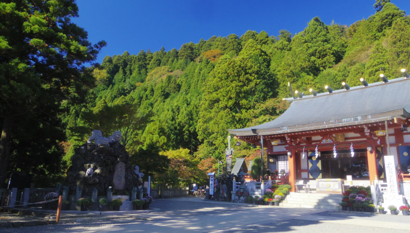 ��R���v���_�Љ��Ђ̍����ɑ�R�o�R��