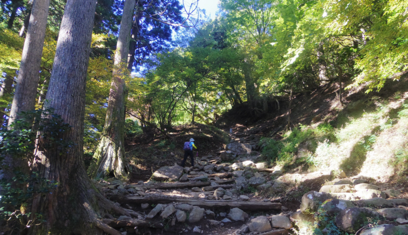 �₪�����}�ȍ⓹